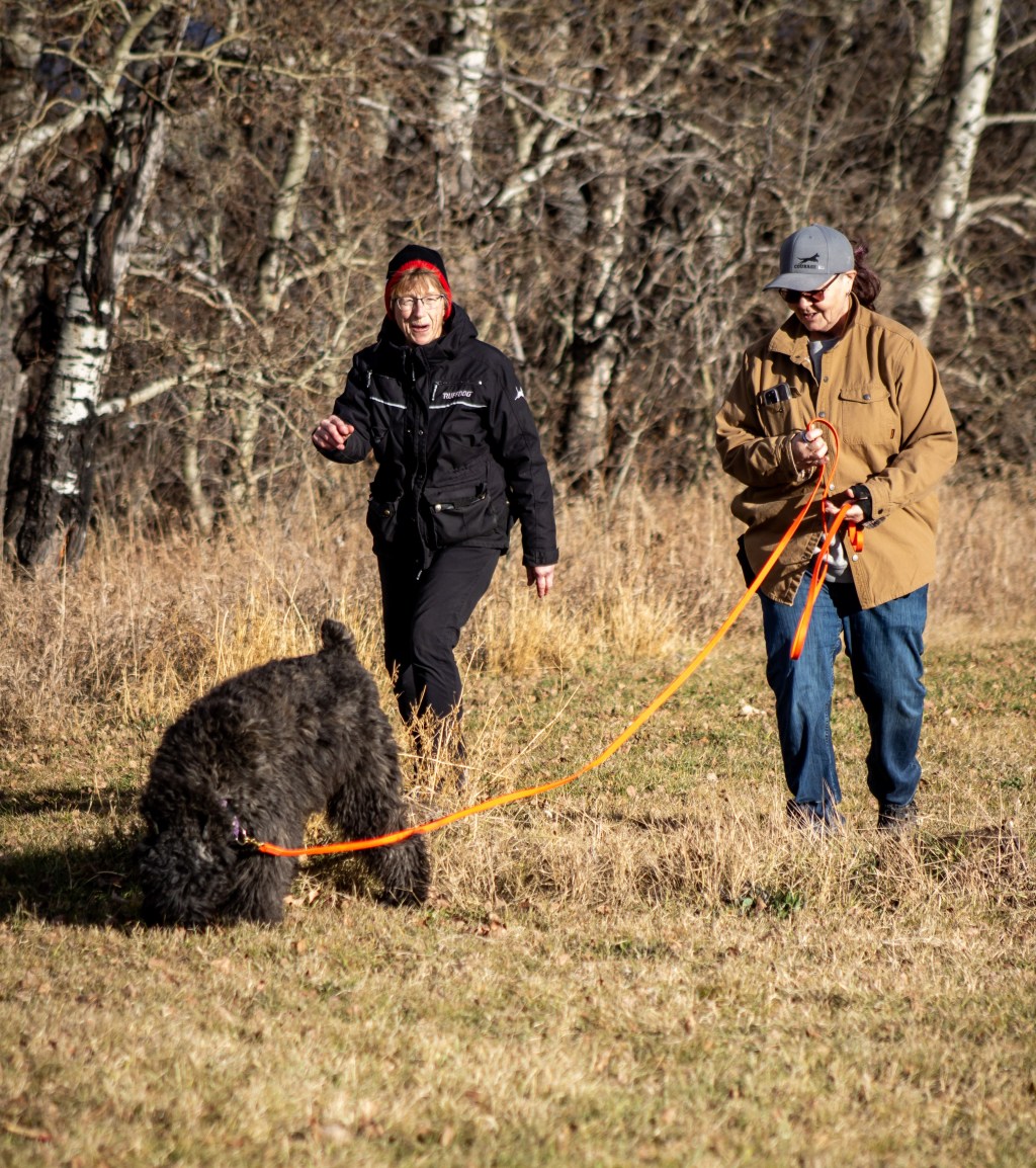 Check Out the New Trailing Page and Photo&nbsp;Gallery!