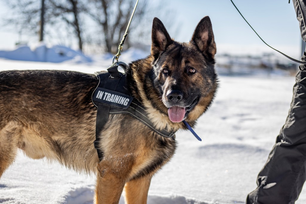 Photo Gallery and Videos of the February Winter Weekend&nbsp;Seminar!